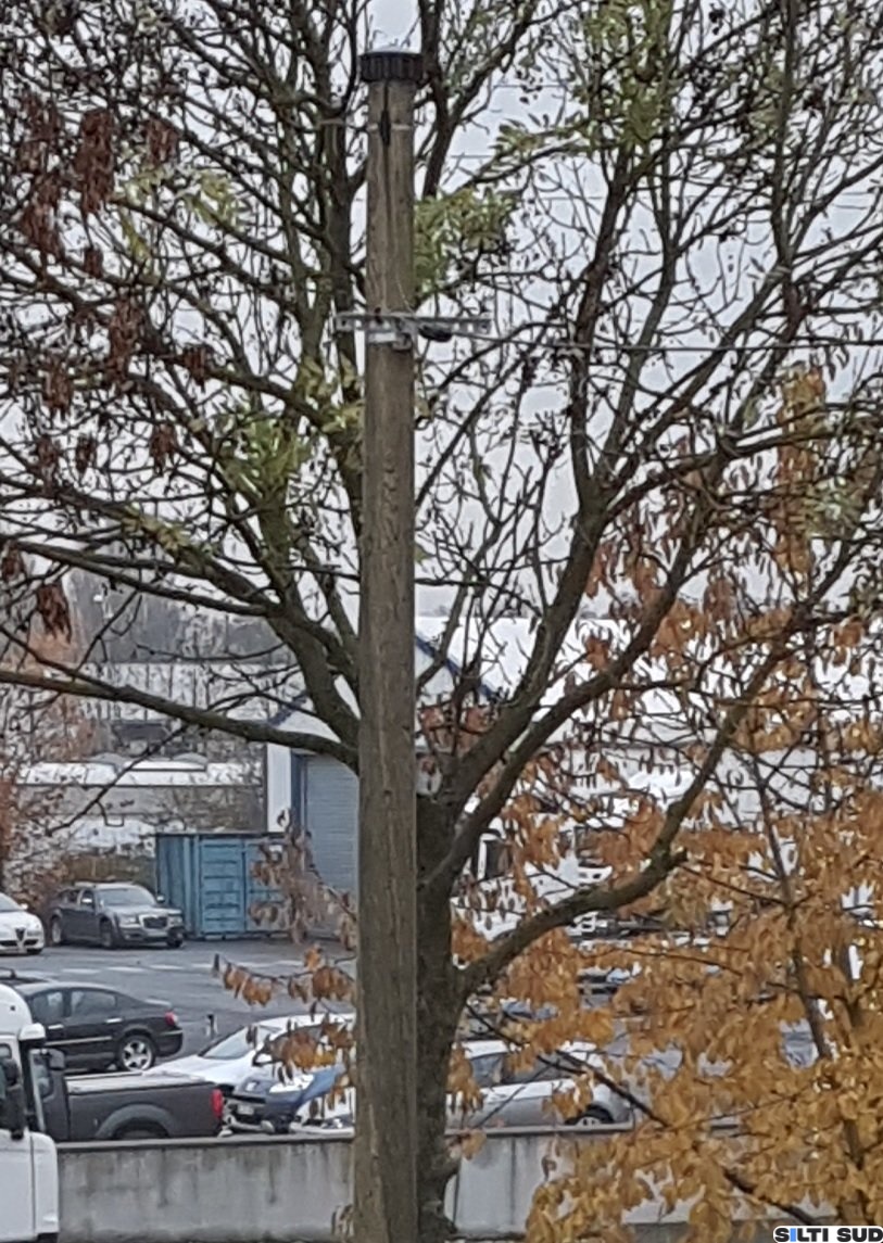 Fiberglass poles plug with optical fiber outputs - Image 4